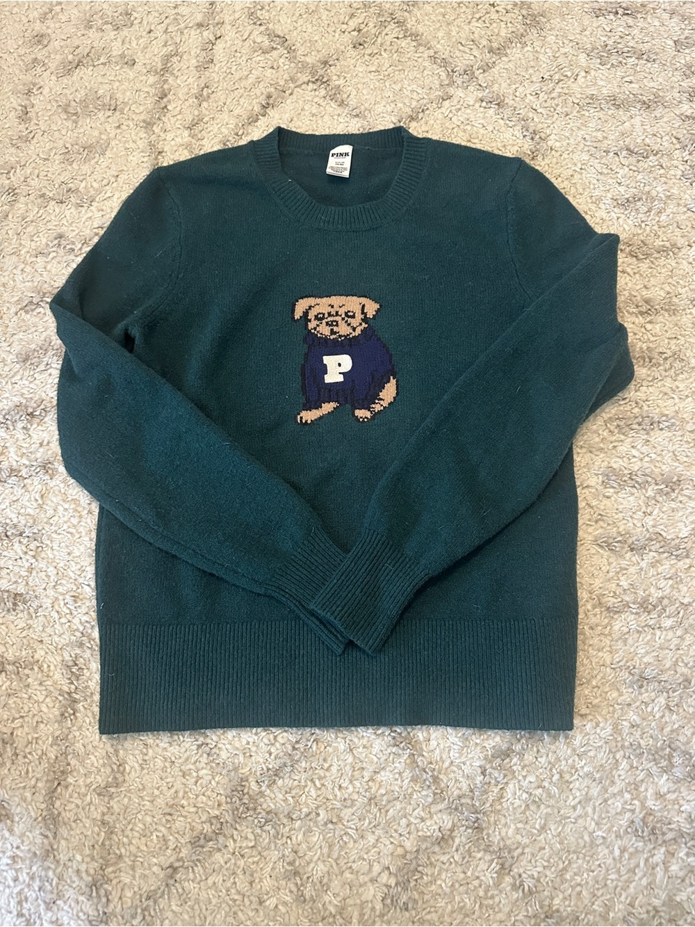 PINK Victoria's Secret Teal Crewneck Sweater with Puppy Motif